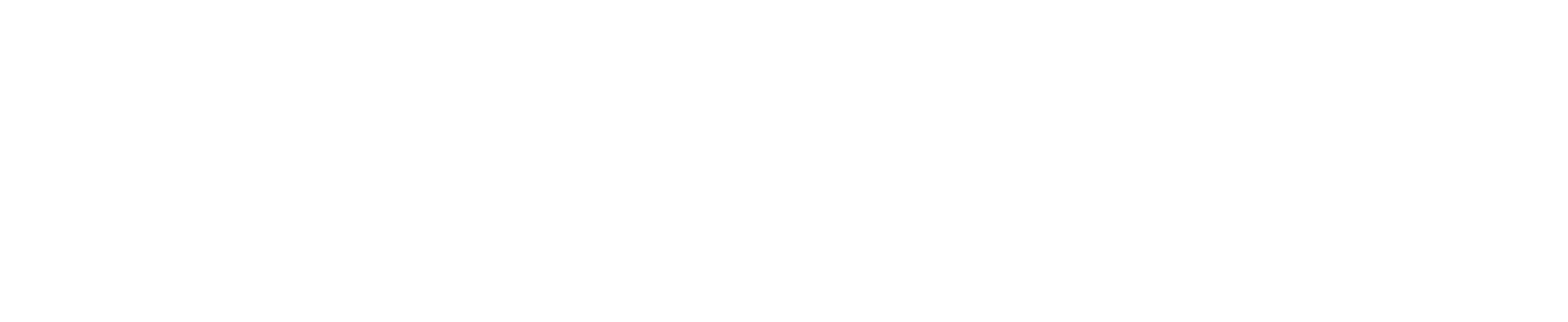 premier realty group