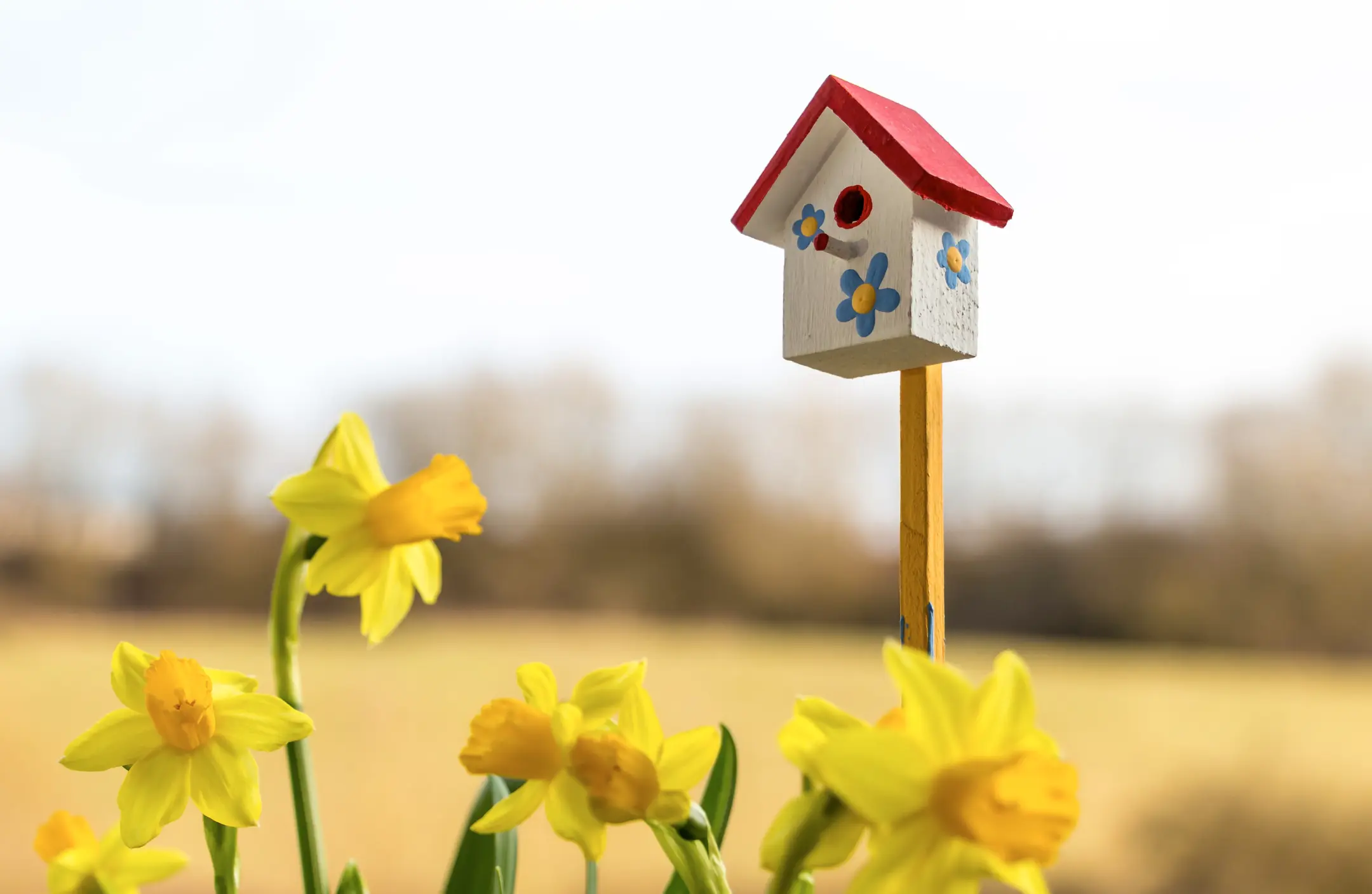 house in tigard on the market in spring time